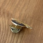 What Is This? T.E.A.M Fleming Wheat Vintage Pin Special Olympics Games — photo 5