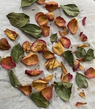 Dried Flowers Natural Confetti Wedding Golden Red Roses Arts  Crafts