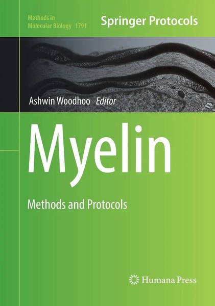 Ashwin Woodhoo | Myelin | Taschenbuch | Englisch (2019) | Methods And Protocols-image
