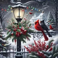 Christmas Paint by Numbers for Adults,Winter Paint by Numbers on Canvas,Cardinal