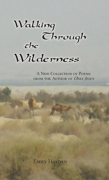 Emily Hayden | Walking Through The Wilderness | Taschenbuch | Englisch (2019)-image