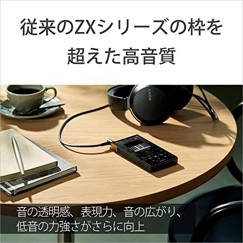 Sony Walkman 64GB ZX Series NW-ZX707: High-end streaming
