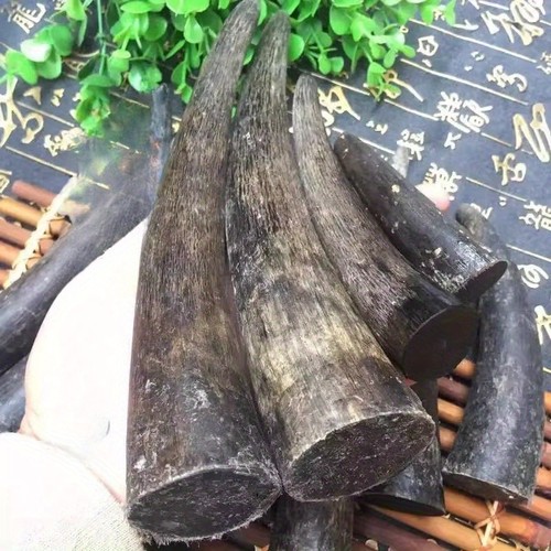 1X Solid Yak Horns Authentic Black OX Horn Tibetan Crafts Raw Engraving Material - Picture 5 of 11