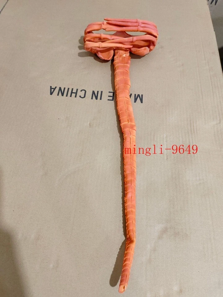 Halloween Alien Facehugger Mask Cosplay Scary Latex Face Mask Costume Props Hot - Image 3 of 4