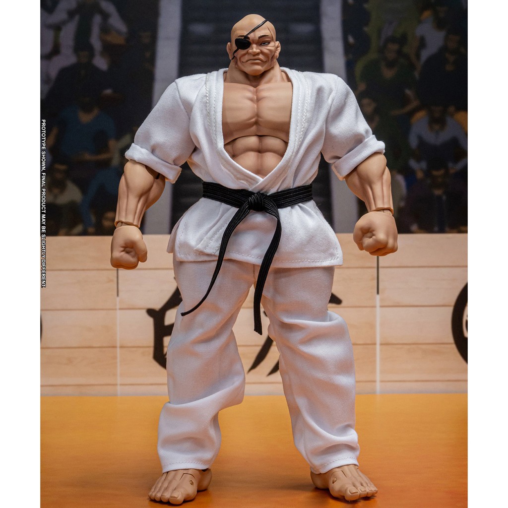 亀の戦士 ポリ フィギュア HIPLAY Storm Toys Son of Ogre Baki Hanma Series: Doppo Orochi