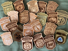 National Park Service Junior Ranger Badges. NPS, Pin, Badge