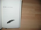 Bild 11 von 11