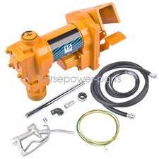 Fuel Transfer Pump Cast Iron Heavy Duty Pump 12V 15GPM for Fuel Diesel Biodiesel