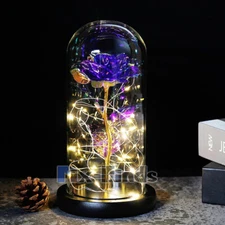 Christmas LED Eternal Rose Gift for Women Mom Girlfriend Wife Valentine Birthday