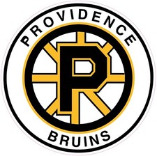 Boston Bruins Hockey Vinyl Decal Sticker Car Truck Bumper Laptop Tumbler Mug