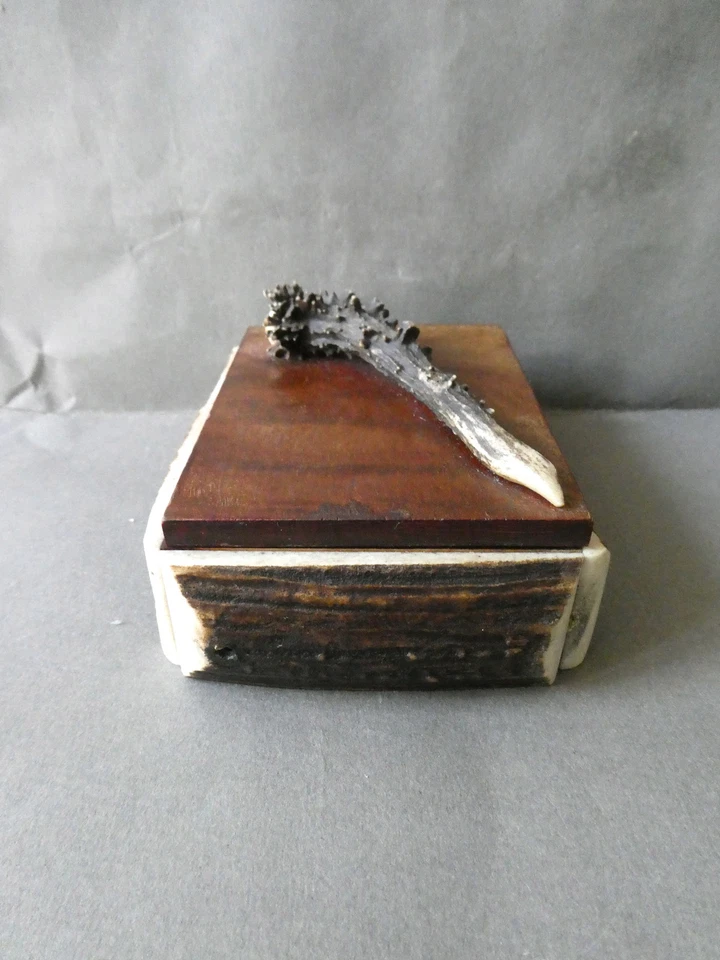 objet d'art populaire, art cynégétique, boite avec bois de chevreuil, chasse - Photo 3/4