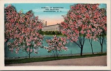 Vintage Bureau Of Engraving And Printing Washington DC Postcard E357
