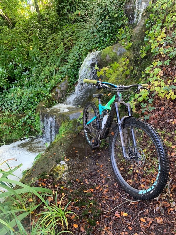 specialized enduro frame