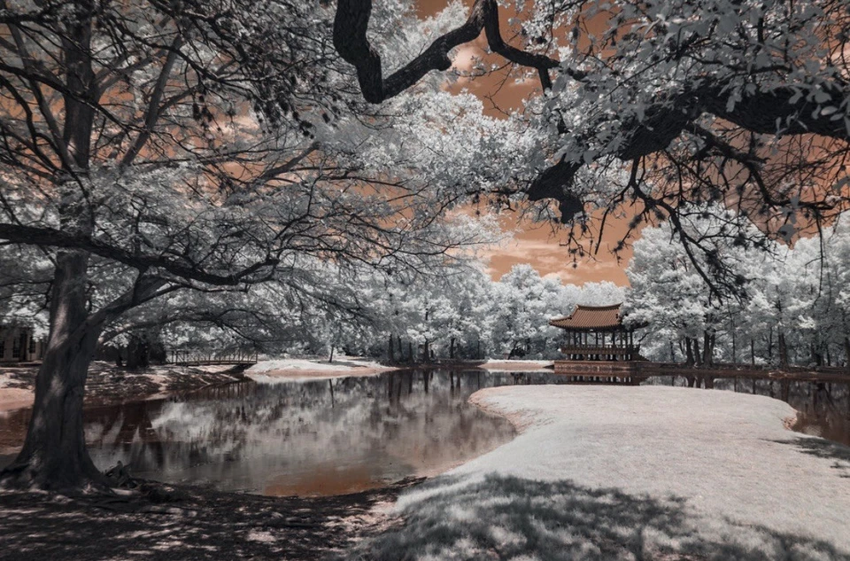 590nm Long Pass Infrared Filter 77mm for Full Spectrum Modified Camera See Video - Image 3 of 4