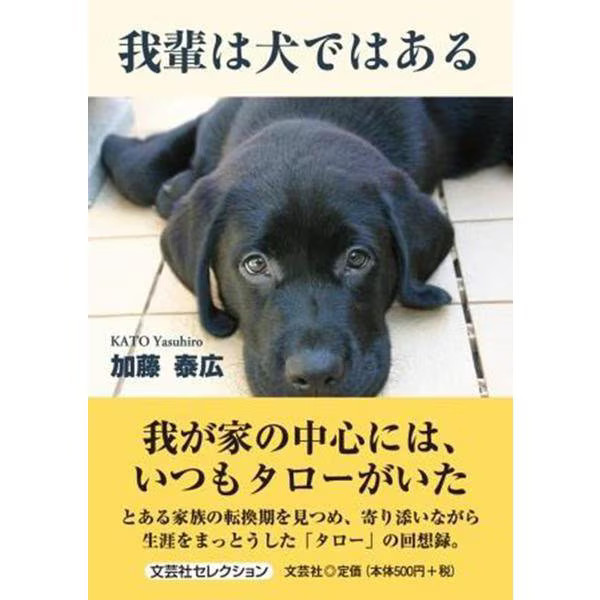 Labrador I am a dog Hardcover Book Excellent For Ages 14+