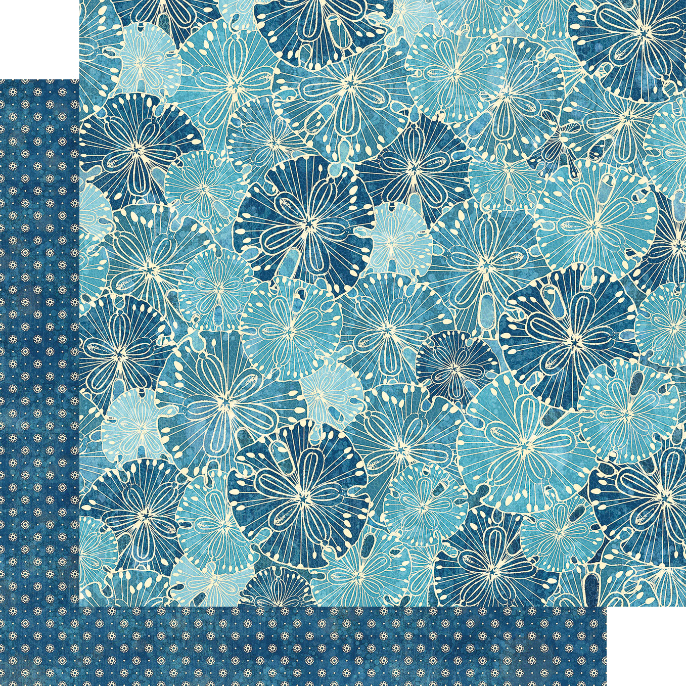 Bild 9 von 9