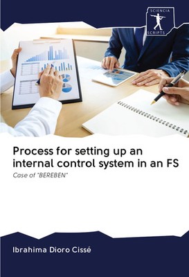 Ibrahima Dioro Cissé | Process for setting up an internal control system in...