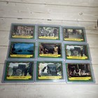 Bild 10 von 13
