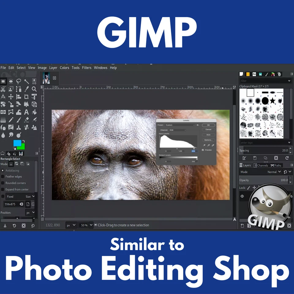 Desktop Publishing Pro 2023 | Publishing Print Design Software Program DVD - Image 3 of 4