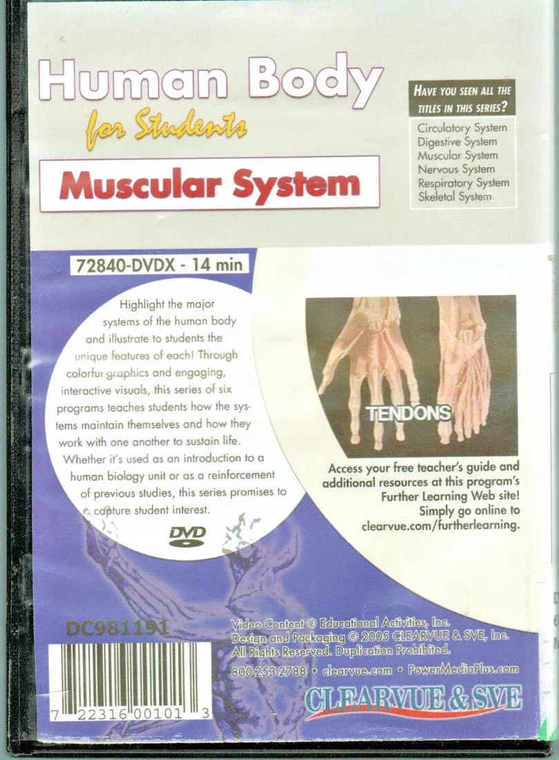 Interactive Guide to the Muscular System