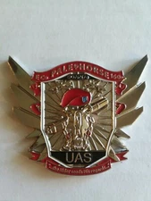 Genuine Pale Horse 160th SOAR(A) UAS Army Commander's Challenge Coin