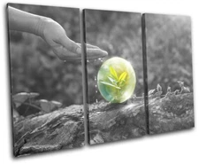 Leaf Water Ecology Surrealism Fantasy TREBLE CANVAS WALL ART Picture Print