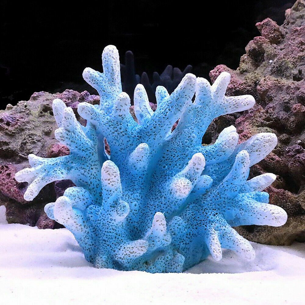 Picture 10 of 17