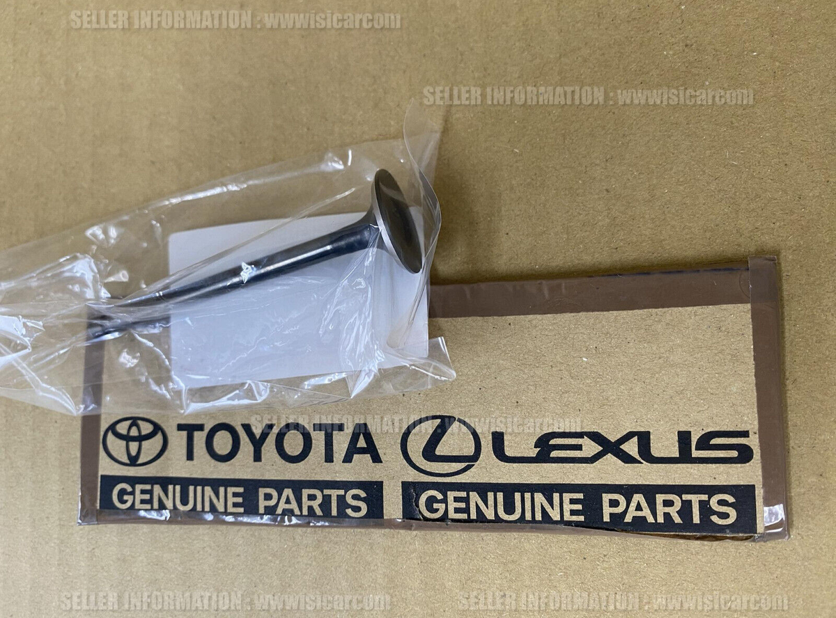 スピッツ carinalevin860 His smile proves Ebisu west course is sooo