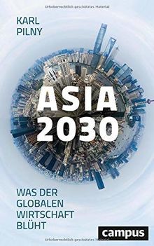 Asia 2030: Was der globalen Wirtschaft blüht von Pi... | Buch | Zustand sehr gut