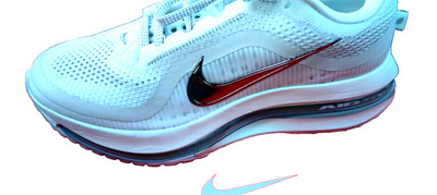 nike pegasus