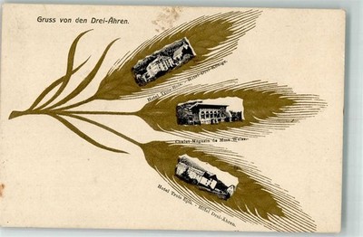 13289829 - Les Trois-Épis Hotel Drei Könige Chalet Magasin de Mme Weiss Aehren