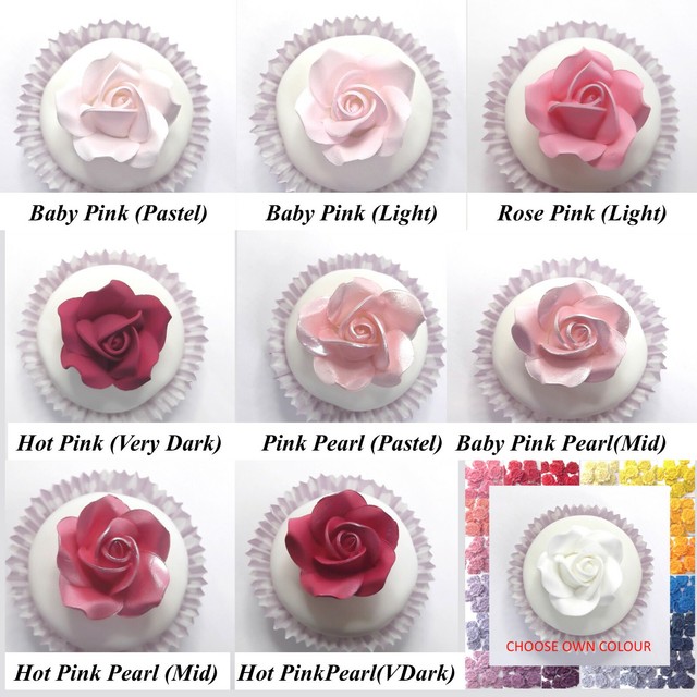 Sugar Robot Inc Edible Peacock Feathers Set Of 12 Cake