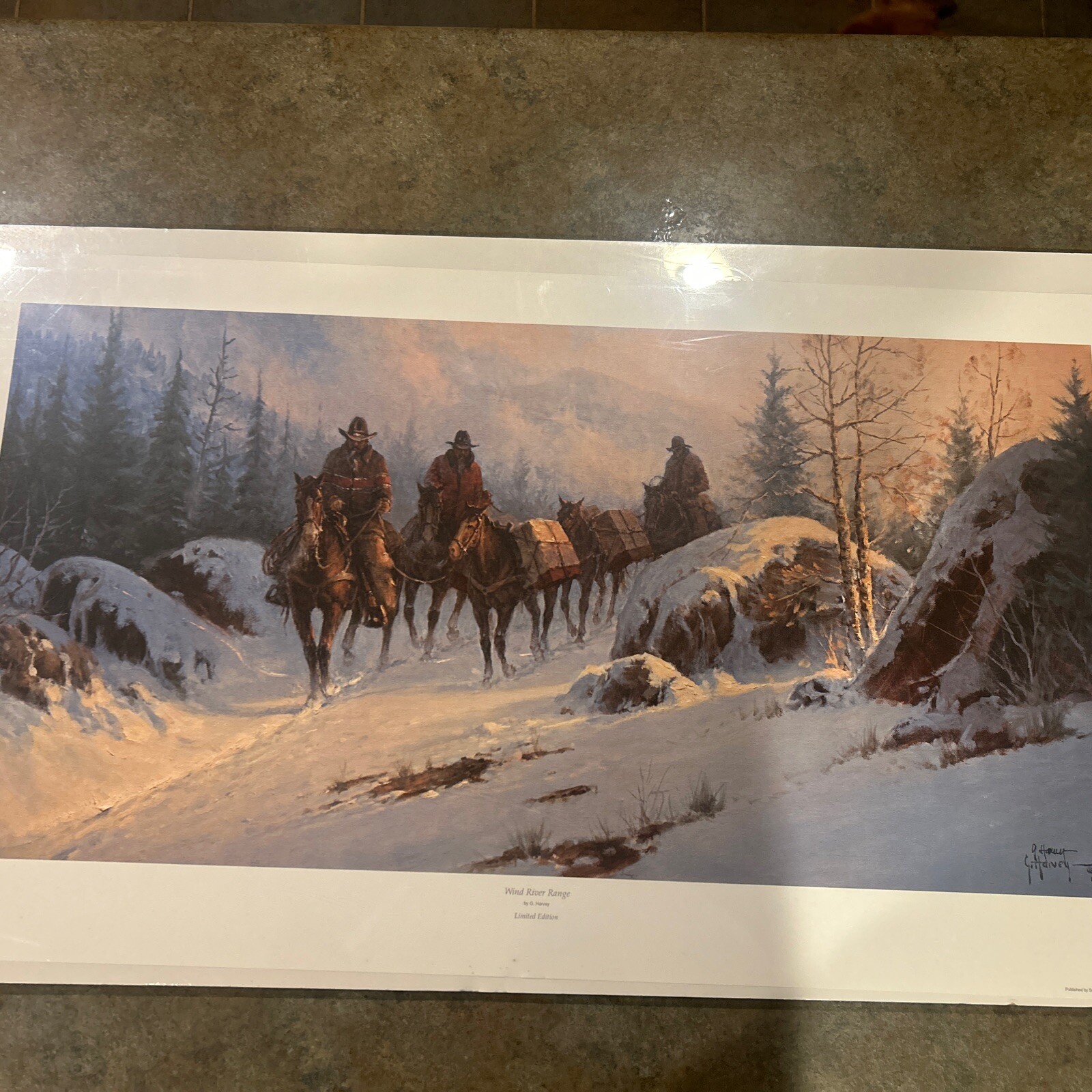 Picture 1 of 6