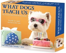 Willow Creek Press,  What Dogs Teach Us 2025 Desk Calendar