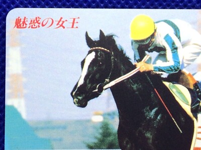 Mejiro Ramonu Ouka Horse Racing JR Orange card Japanese limited