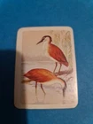 Tuckerfield's Australia Series BIRDS?#92 NANKEEN NIGHT-HERON Card?FREE POST