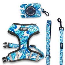 Loveable Pooch Beach Vibes Adjustable Dog Harness Set, Size - S, New