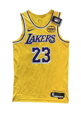 Nike ADV Los Angeles Lakers LeBron James Icon Edition NBA