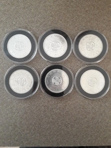 1964 Canada Silver Dollar Charlottetown 1964 I have 6 Uncirculated Coins