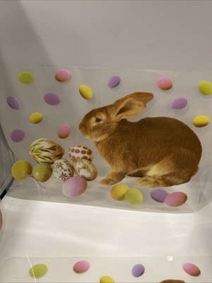 Easter/Spring Plastic Placement Set 4 Bunny/Colored Eggs
