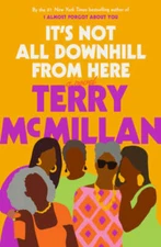 It's Not All Downhill From Here: A Novel - Hardcover By McMillan, Terry - GOOD