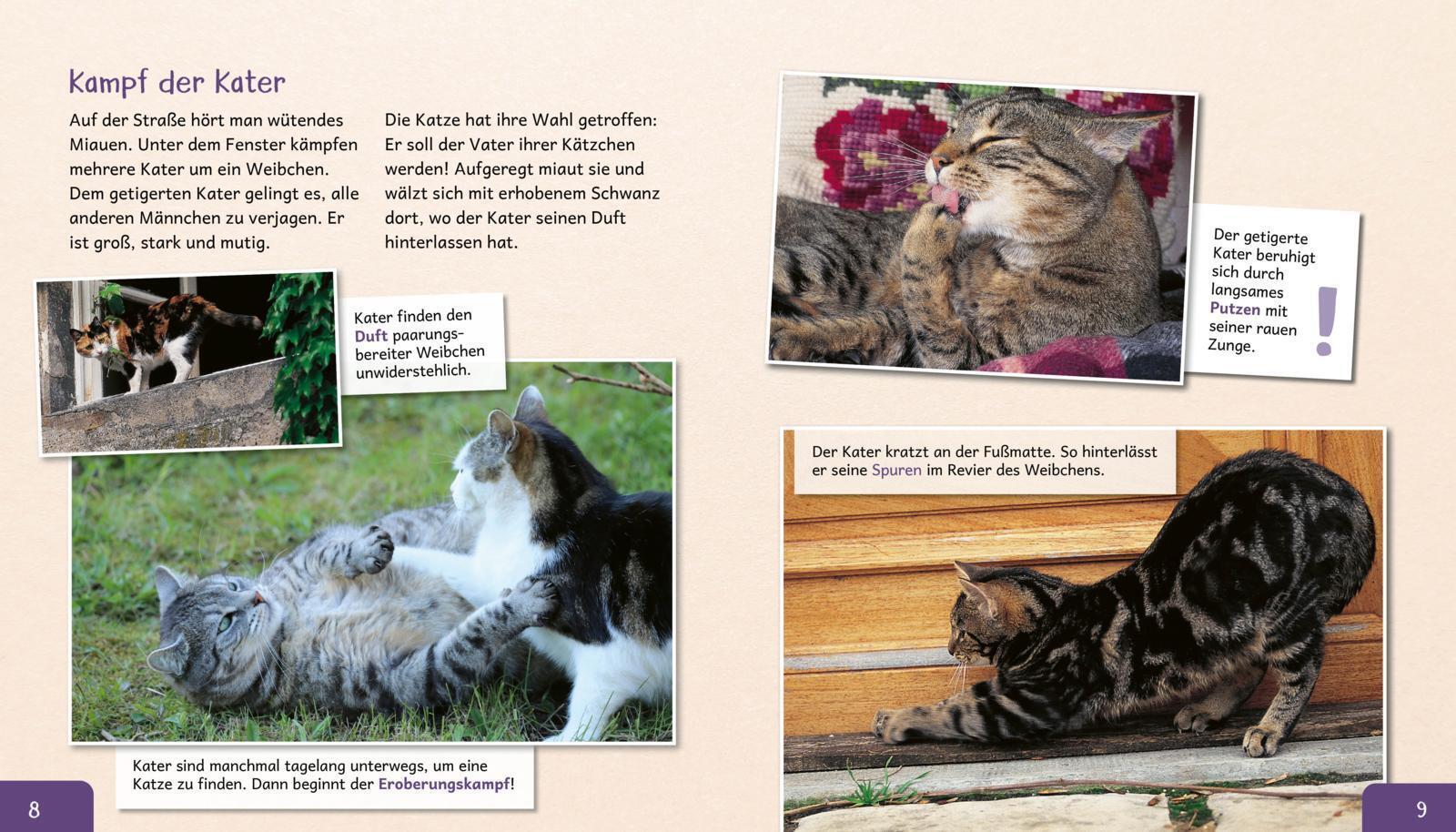 Thumbnail - Meine Große Tierbibliothek: Die Katze Stéphanie Ledu-frattini