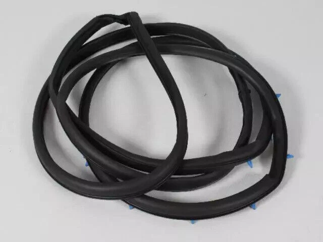 Genuíno Mopar 2001-2007 Dodge Grand Caravan porta tira meteorológica direita 4717720AA - Imagem 2 de 4