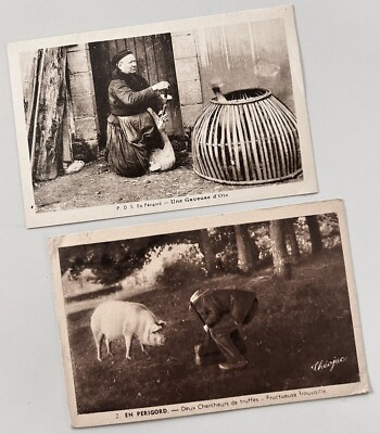 En Perigord Dordogne TRUFFLE SEEKER, GOOSE FEEDER Foie Gras France 2 postcards