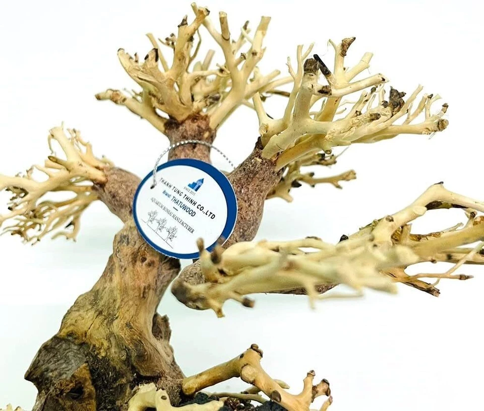 Enchanting 8" Driftwood Bonsai Tree for Aquariums – Handcrafted Natural Aquasc - Image 4 of 4
