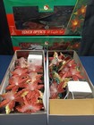 Kurt Adler Fiber Optics 2 Sets10 String Lights Christmas Decor One New/one Used