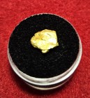 California Natural Gold Nugget  1.5  Grams in a Gem jar w/lid — photo 2