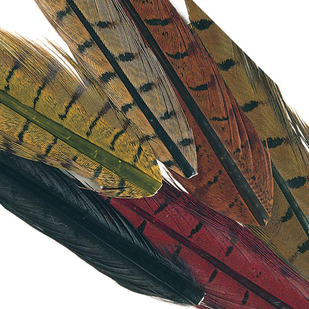 Cock Pheasant Natural & Dyed Mixed Centre Tail Pieces - Fly Tying Material