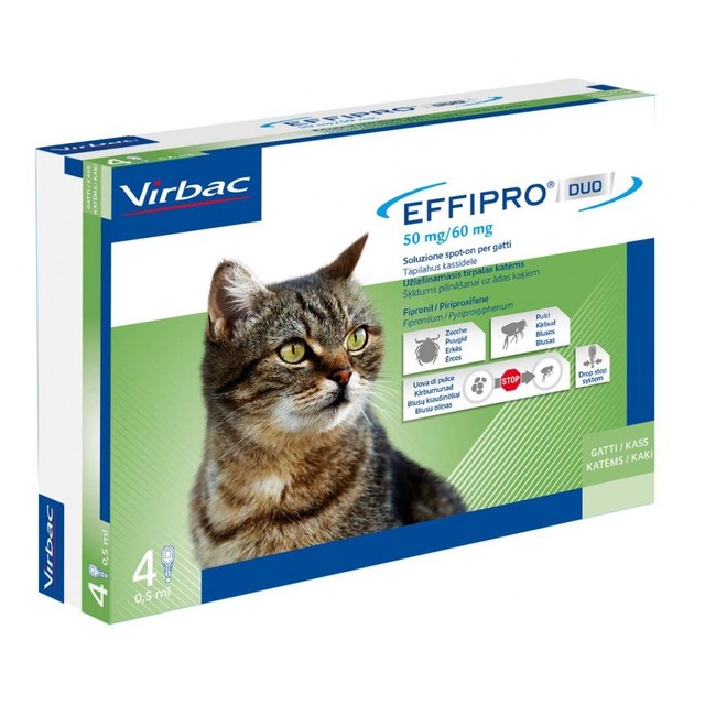 Antiparassitario per gatto contro zecche pulci e uova di pulce ... Uova zecche in casa