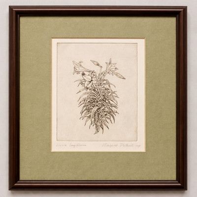 Lilium longiflorum (Easter Lily), by Margaret Philbrick, Original, Hand Printed
